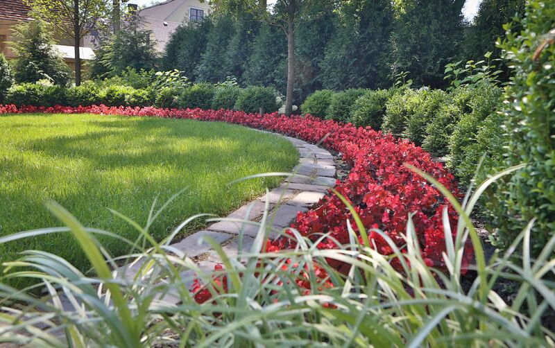 large circular backyard with red flowers and tall shrubbery lining the perimeter
