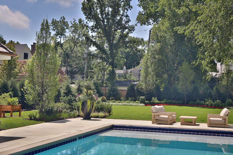 large back yard with pool, trees and garden