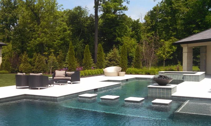 swimming pool surrounded by foliage and patio furniture