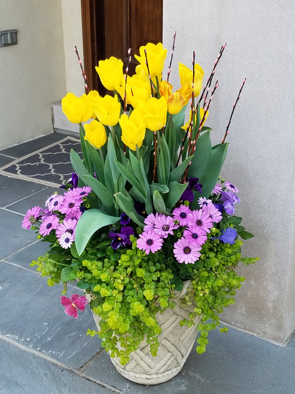 close up of potted flowers in front of front door
