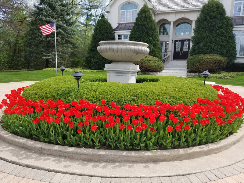 red flowers lining circular driveway