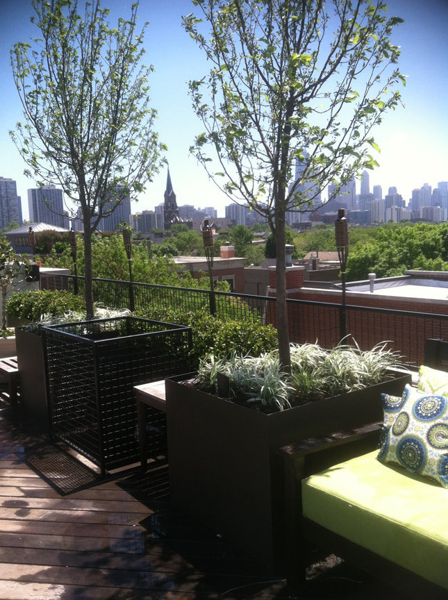 garden and greenery on balcony with city skyline in background