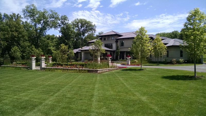 wide shot of house with large manicured front lawn