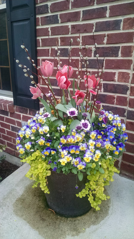 close up of potted flowers in front of brick wall