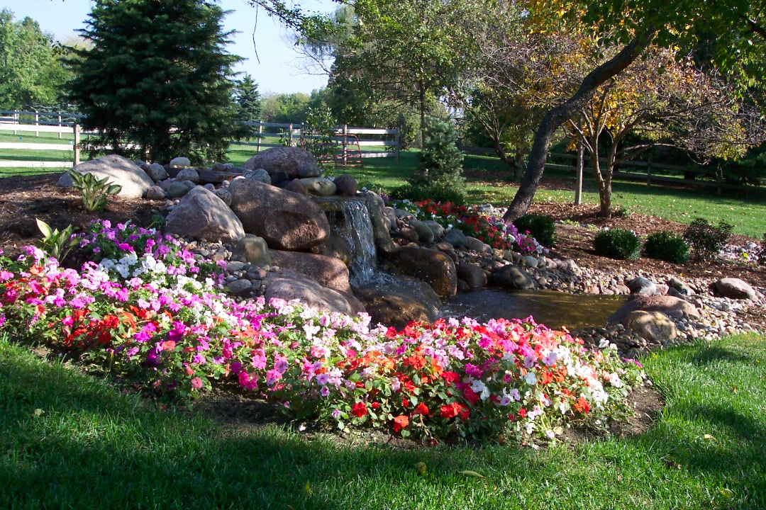 medium shot of colorful flowers and small waterfall in backyard